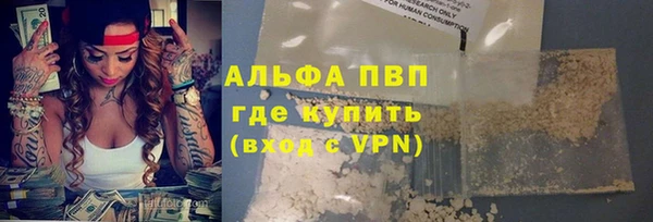сатива Володарск