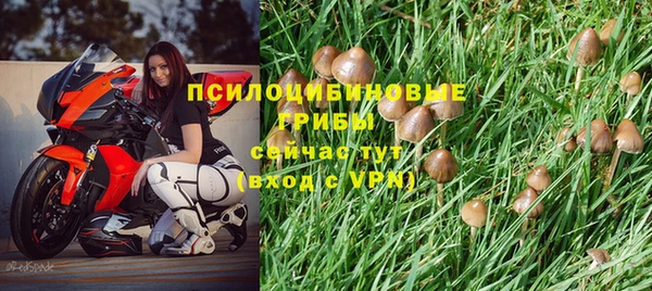 сатива Володарск