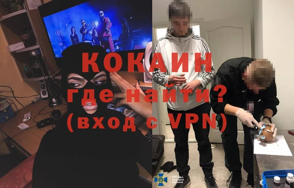 сатива Володарск